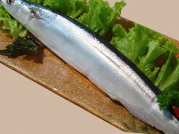 Cá Thu Đao - 秋刀魚
